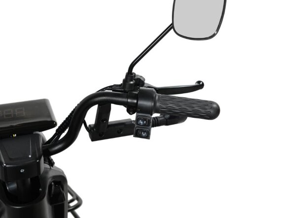 Электротрицикл White Siberia SIBTRIKE R 2000W